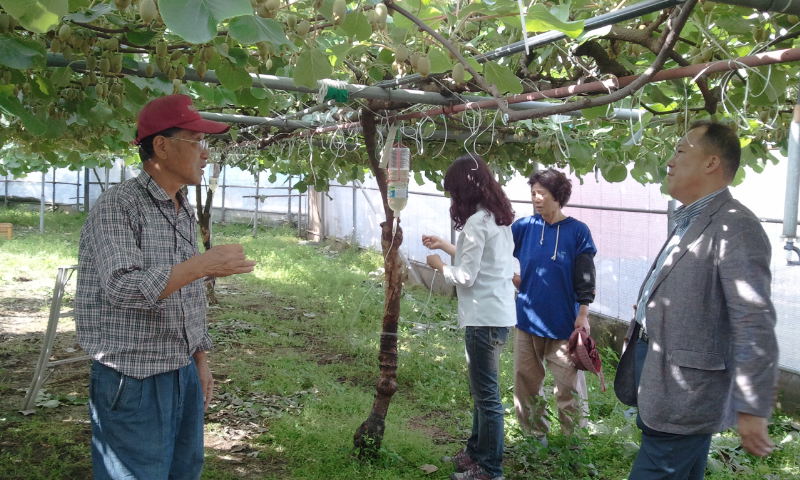 강소농 육성을 위한 키위재배기술컨설팅 현장